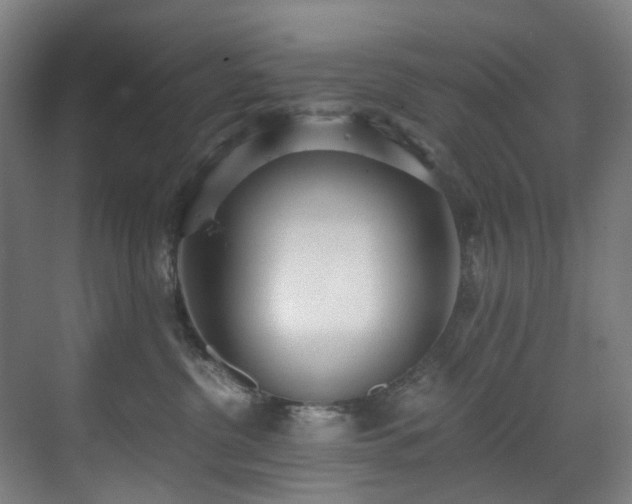 X0000071350380200606261348