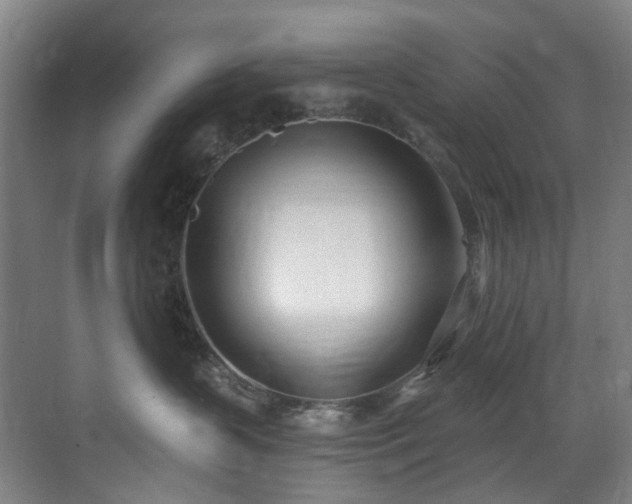 X0000071350383200606261348