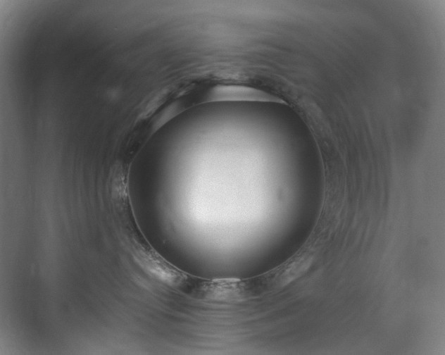 X0000071350384200606261348