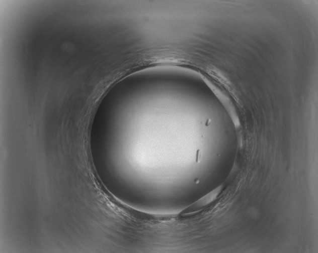 X0000071350385200606261347