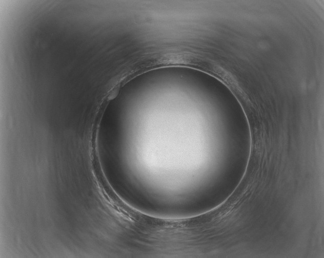 X0000071350386200606261347