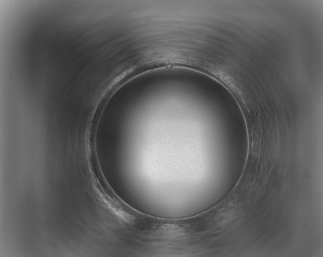 X0000071350390200606261347