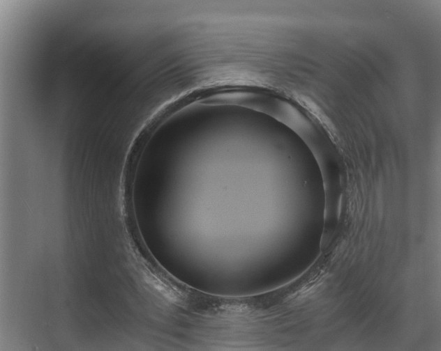 X0000071350391200606261347