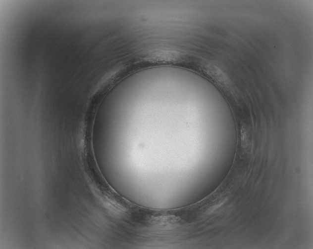 X0000071350396200606261347