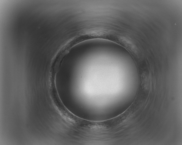 X0000071350400200606261347