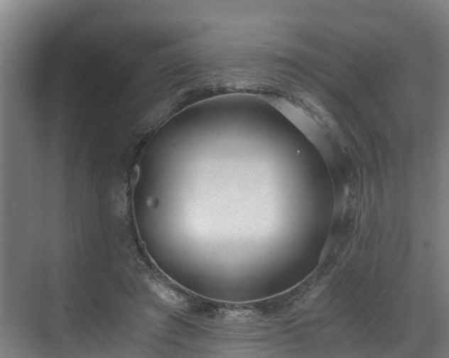 X0000071350401200606261347