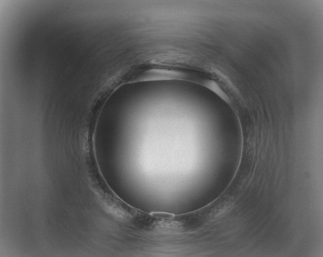 X0000071350403200606261347