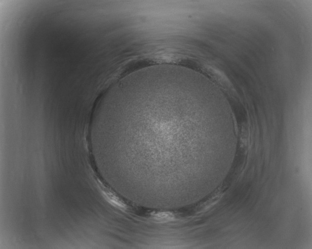 X0000071350409200606261347