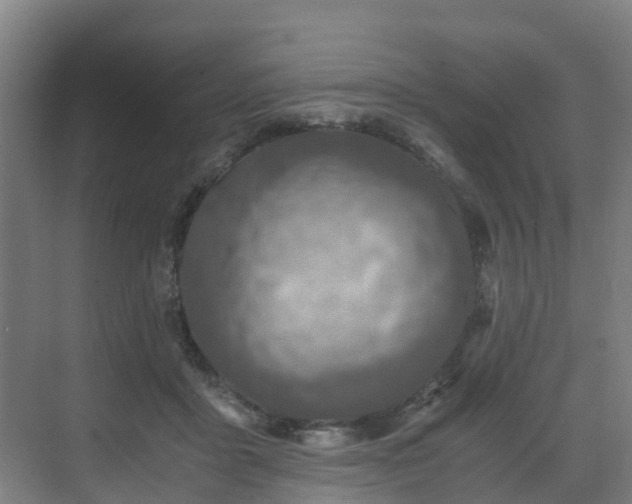 X0000071350411200606261347