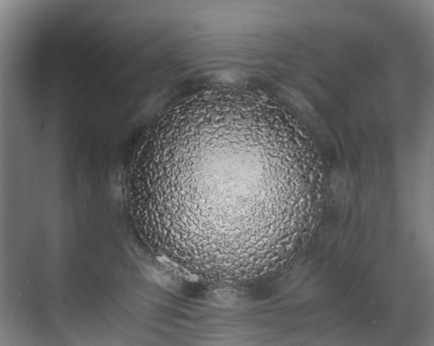 X0000071350423200606261347