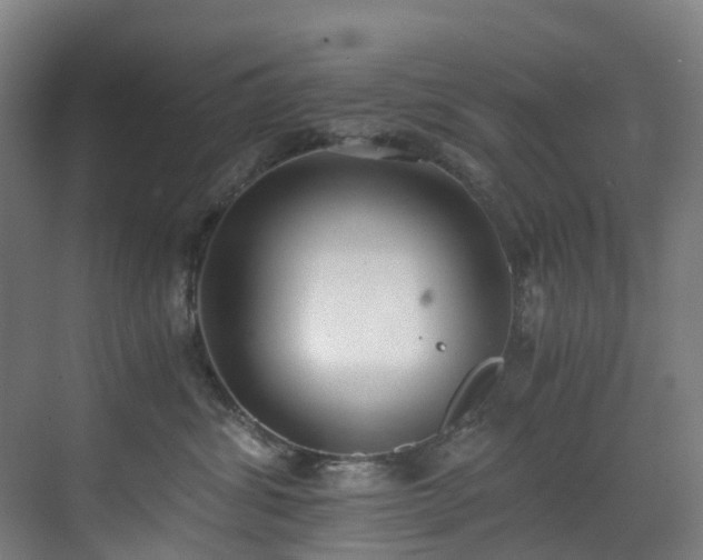 X0000071350428200606261346