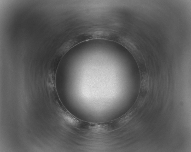 X0000071350430200606261346