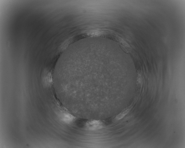 X0000071350431200606261346