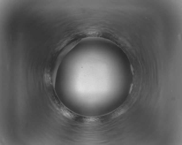 X0000071350432200606261346