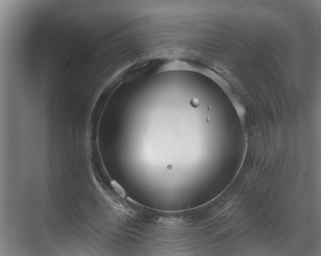 X0000071350440200606261346