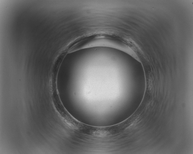 X0000071350444200606261346