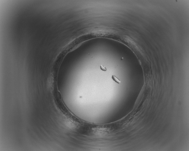 X0000071350448200606261346