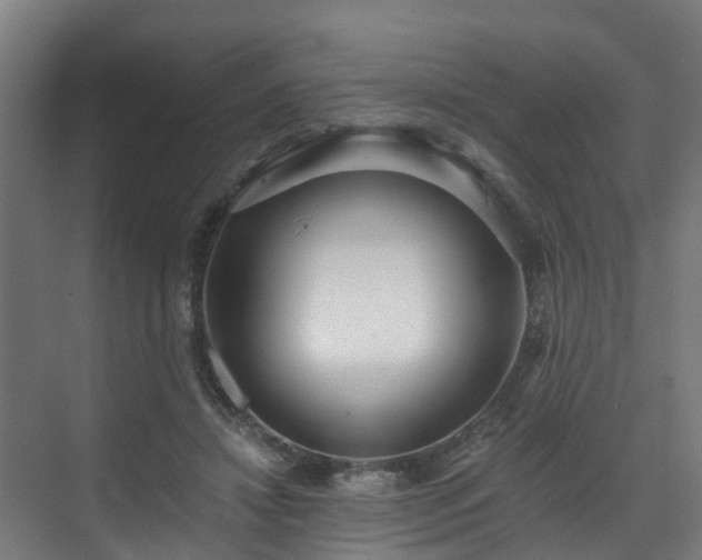 X0000071350452200606261346