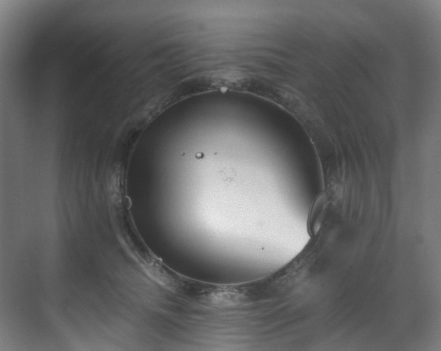 X0000071350468200606261346