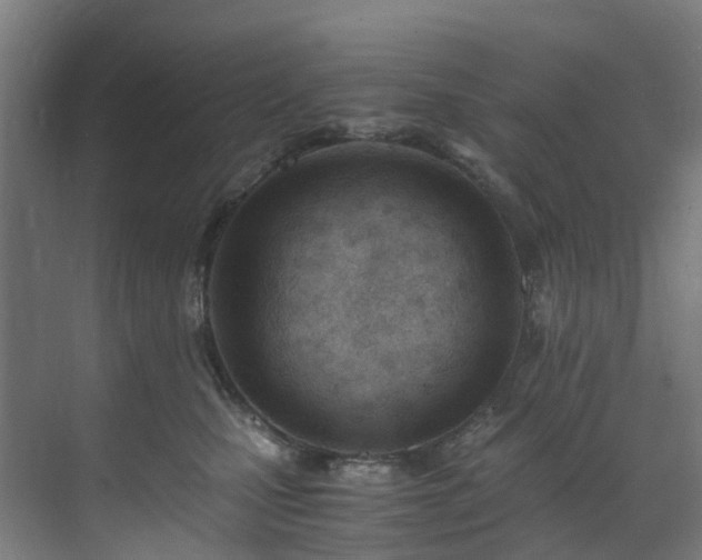 X0000071350471200606261346