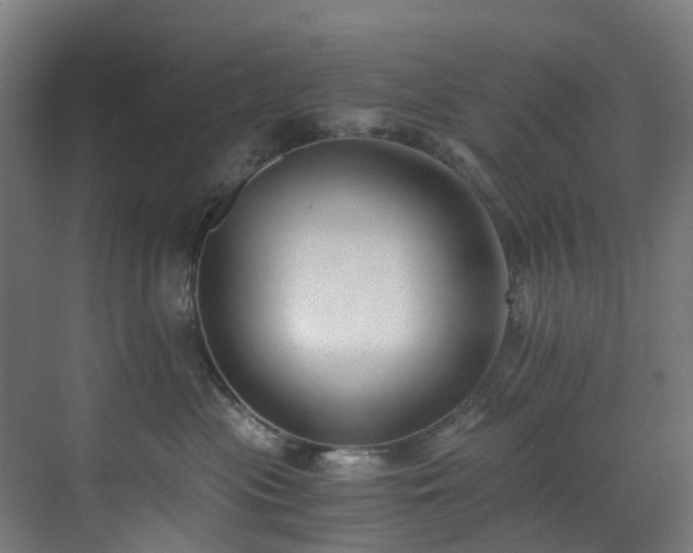 X0000071350477200606261346