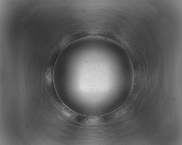 X0000071350479200606261346