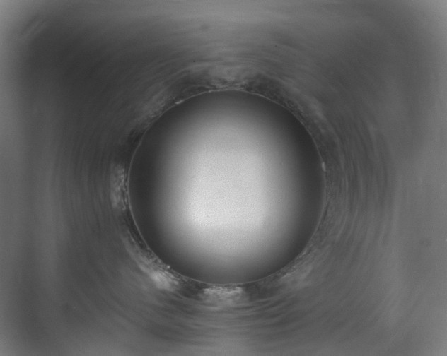 X0000071350480200606261346