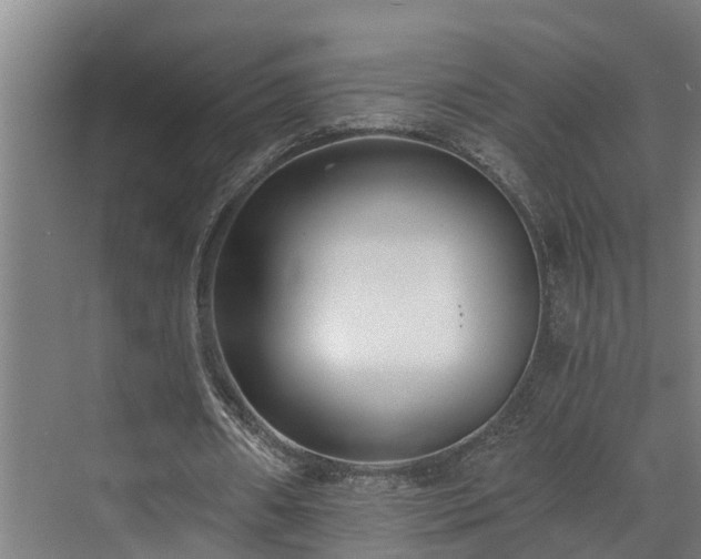 X0000071350482200606261346