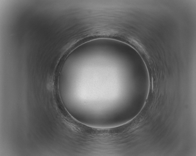 X0000071350483200606261346