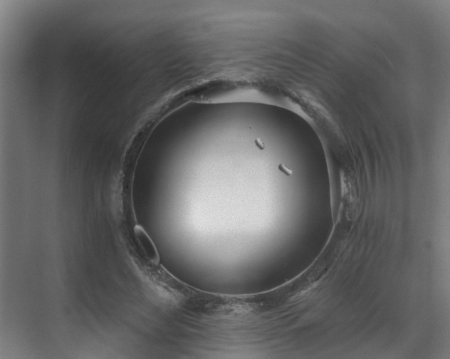 X0000071350492200606261345