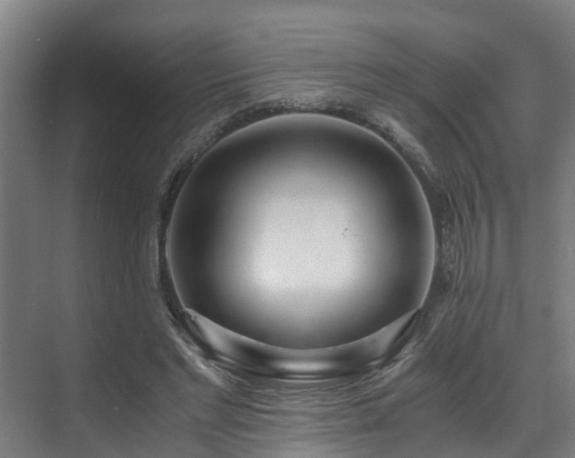 X0000071350493200606261345