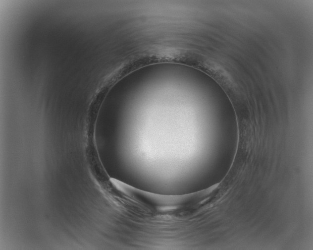 X0000071350496200606261345