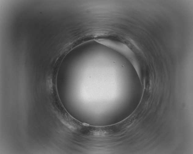 X0000071350500200606261345