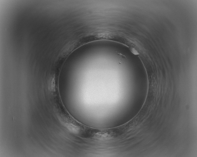 X0000071350502200606261345