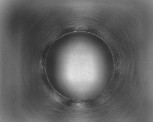 X0000071350506200606261345