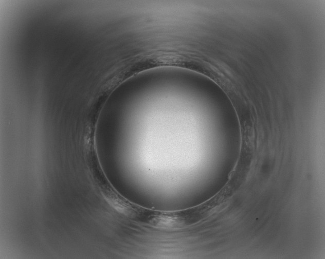 X0000071350507200606261345