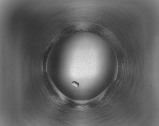 X0000071350508200606261345