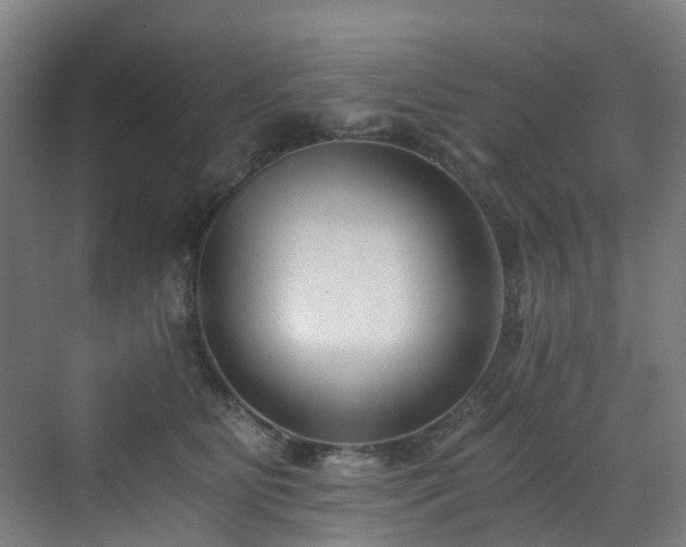 X0000071350515200606261345