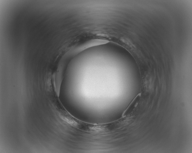 X0000071350516200606261345