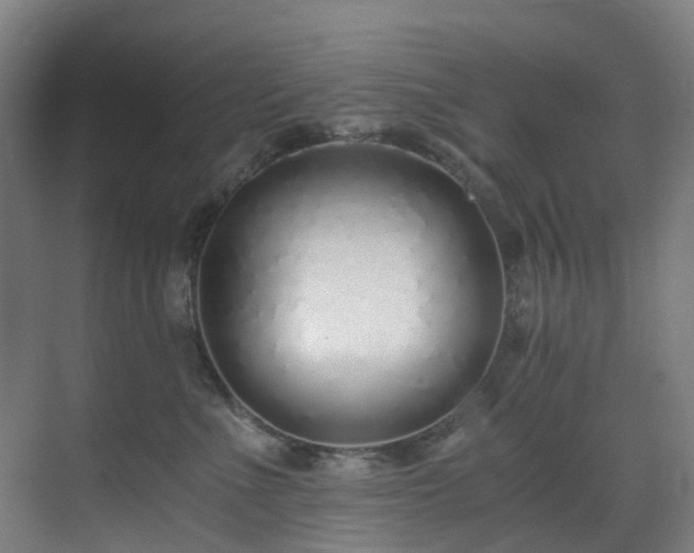 X0000071350523200606261345