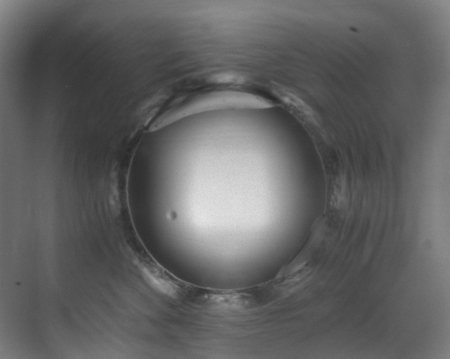 X0000071350524200606261345