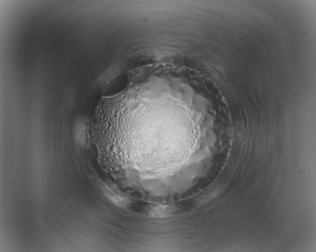 X0000071350527200606261345