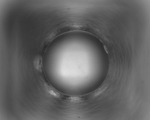 X0000071350528200606261345