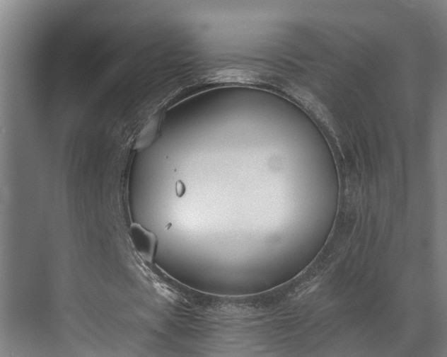 X0000071350529200606261344