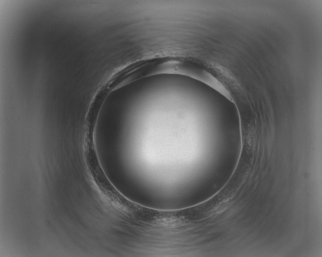 X0000071350540200606261344