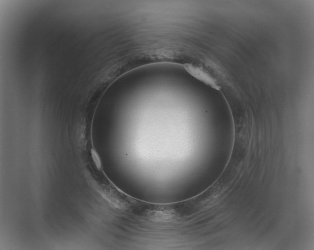 X0000071350548200606261344