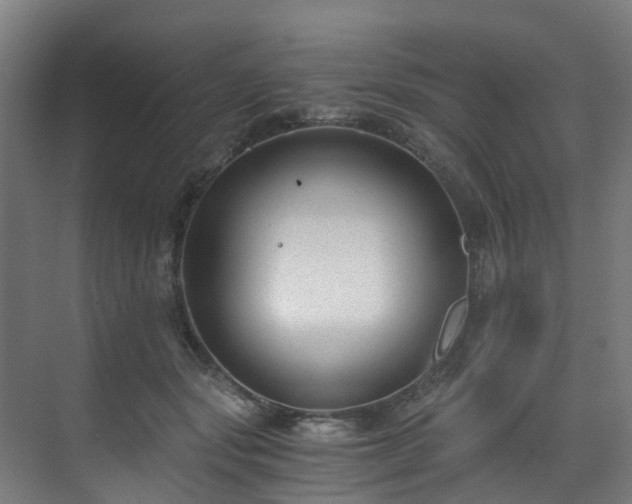 X0000071350557200606261344