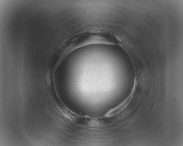 X0000071350562200606261345