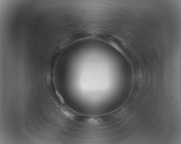 X0000071350566200606261345