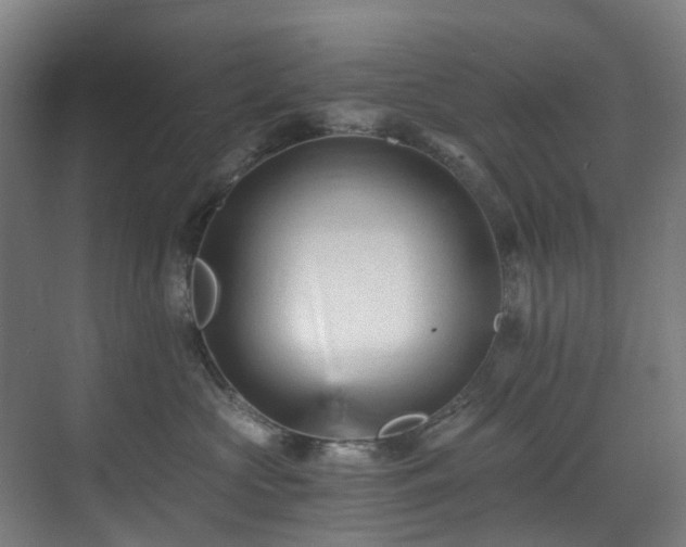 X0000071350573200606261345